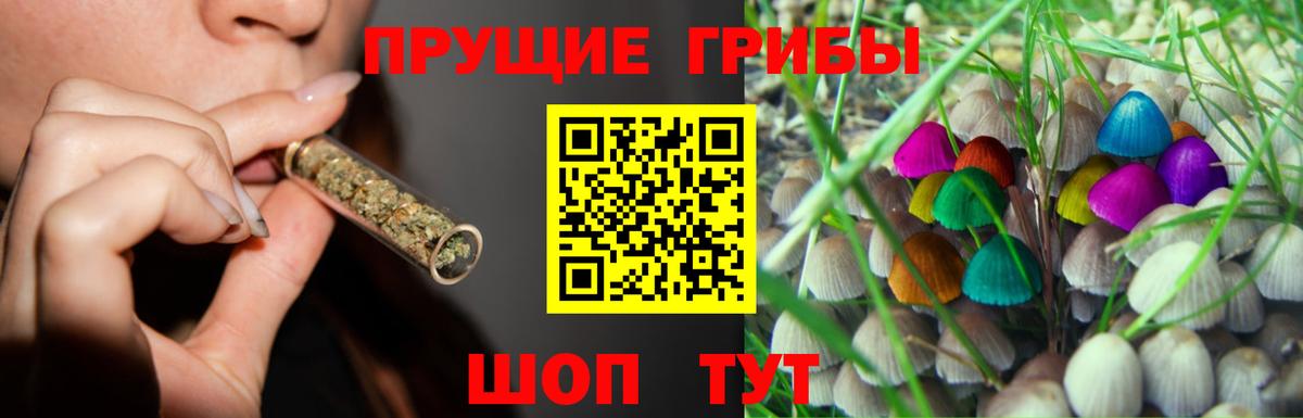 Псилоцибиновые грибы прущие грибы  Псилоцибиновые грибы GOLDEN TEACHER  Вход с VPN  Котельники 